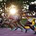 The track competition at Rynearson Stadium on Monday, July 29. Daniel Brenner I AnnArbor.com